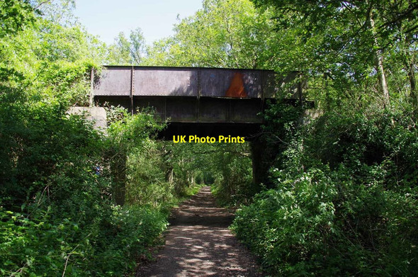 Photo 6"x4" Grange Lane Byway Barnston\/TL6419 c2019