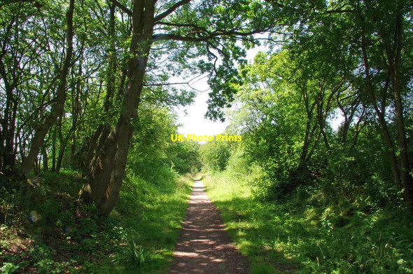 Photo 6"x4" Cutting Approaching Little Canfield Great Dunmow c2019