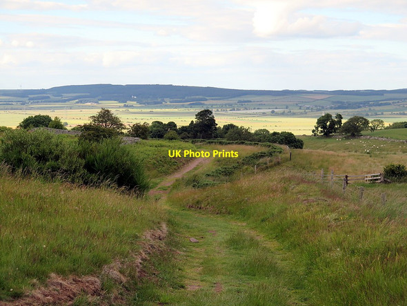 Photo 6"x4" Bridleway south of Humbleton Middleton Hall\/NT9825 c2019