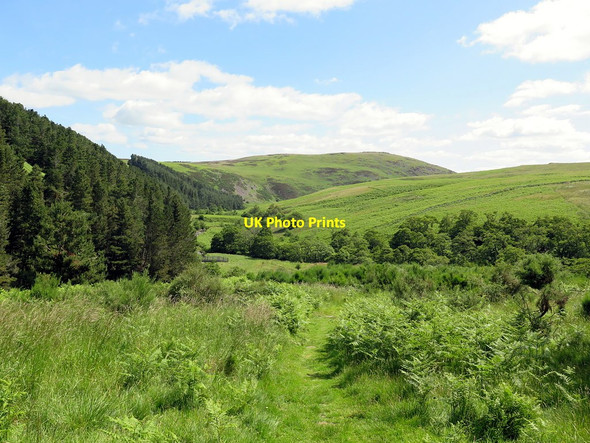 Photo 6"x4" Bridleway near junction of Common and Broadstruthers Burns Middleton Hall\/NT9825 c2019