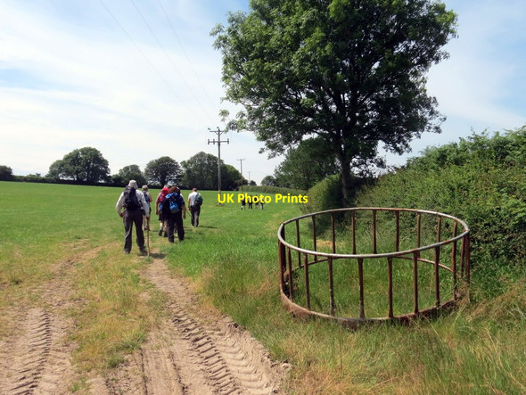 Photo 6"x4" Llwybr ceffyl tuag at Sealyham \/ Bridleway towards Sealyham Little Newcastle c2019