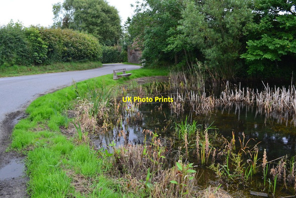 Photo 6"x4" Roadside pond at Greetham Greetham\/TF3070 c2019