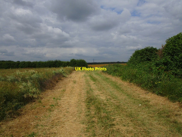 Photo 6"x4" Approaching the Roman road Everton\/TL2051 c2019
