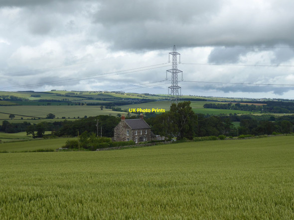 Photo 6"x4" Pylon and house Duns c2019