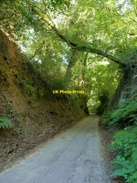 Photo 6"x4" Holloway, Blackheath Lane, Albury (1) Albury\/TQ0547 c2019