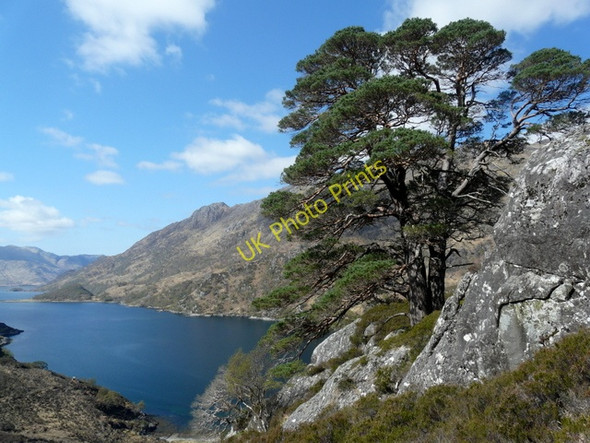 Photo 6"x4" Above the track to Barisdale, with Runival below. Allt a' Chamuis Bh\u00e0in c2009