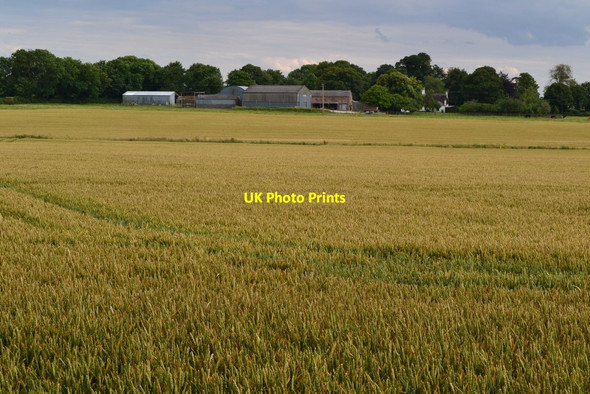 Photo 6"x4" View across fields to Manor Farm Horncastle\/TF2669 c2019