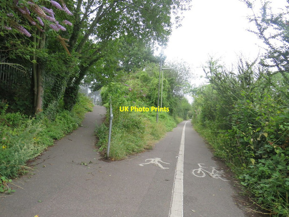 Photo 6"x4" Path junction, Leatherhead Leatherhead c2019