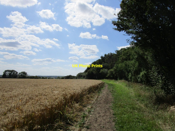 Photo 6"x4" Bridleway alongside Tresham Coppice Sudborough c2019