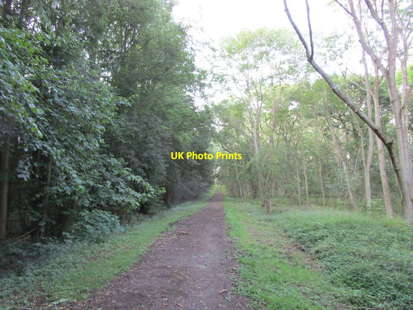 Photo 6"x4" Bridleway through Great Morton Sale Apethorpe c2019