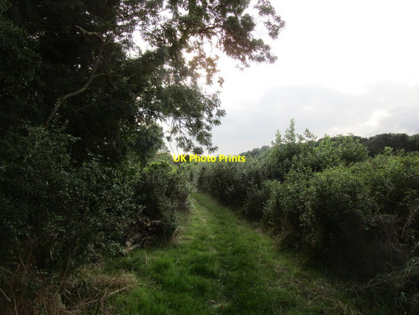 Photo 6"x4" Bridleway to Old Sulehay Forest Yarwell c2019