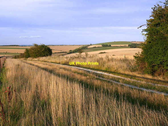 Photo 6"x4" Eastward along the Ridgeway in mid-August Compton\/SU5280 c2019