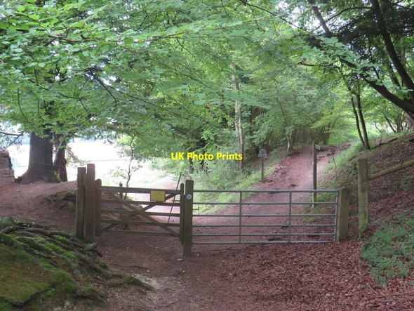 Photo 6"x4" North Downs Way, near Dorking Wotton\/TQ1247 c2019