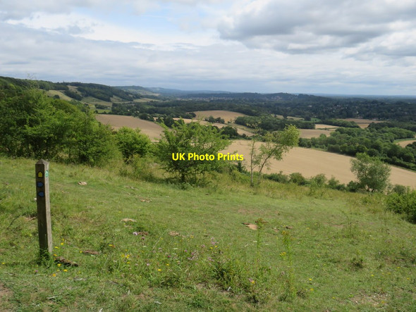 Photo 6"x4" Footpath marker near Dorking Wotton\/TQ1247 c2019