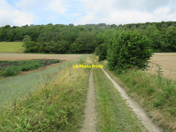 Photo 6"x4" Track near Dorking Wotton\/TQ1247 c2019