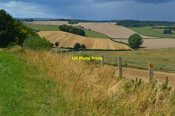 Photo 6"x4" Roadside view above The Cliff Hogstock c2019