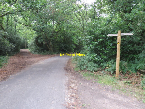 Photo 6"x4" Public footpath at Westcott Heath near Dorking Westcott\/TQ1448 c2019