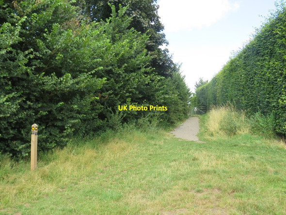 Photo 6"x4" The Greensand Way, Dorking Dorking c2019