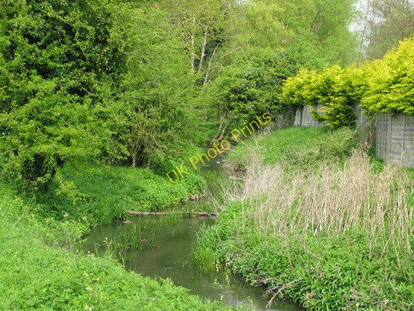 Photo 6"x4" The Great Stour from the Stour Valley Walk Ashford\/TR0042 c2009