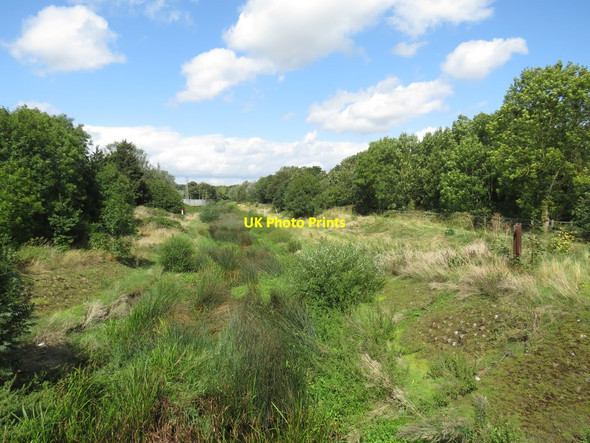 Photo 6"x4" River Roding at Woodford Bridge Woodford\/TQ4091 c2019