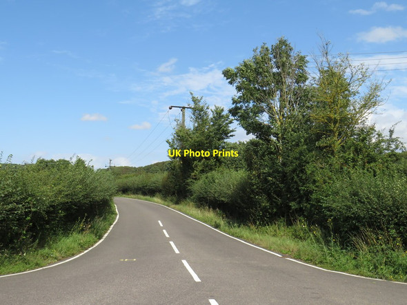Photo 6"x4" Country lane near Epping Mount End c2019