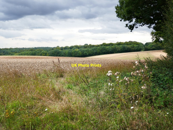 Photo 6"x4" Arable farmland west of Hartridge Farm Ashampstead Green c2019