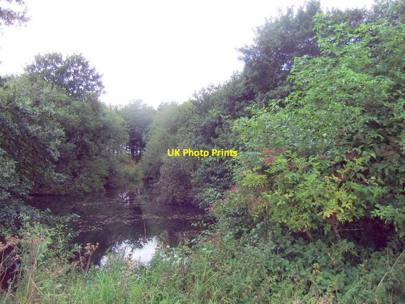 Photo 6"x4" A small pond by Lock Lane Rascal Moor c2019