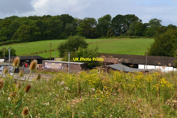 Photo 6"x4" View over riding school buildings at Hensting Hensting c2019