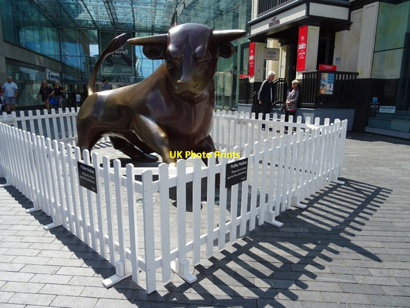 Photo 6"x4" The Bull in the Bullring Birmingham c2019