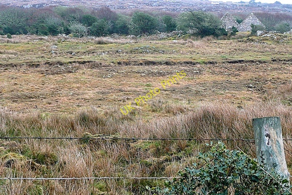 Photo 6"x4" Seanadh an Mh\u00c3\u00b3in\u00c3\u00adn (Shannawoneen) Spiddle c2009