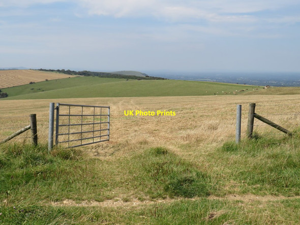 Photo 6"x4" Gate on the South Downs, near Ditchling Beacon Westmeston c2019
