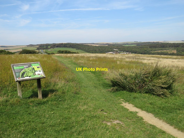 Photo 6"x4" Path across Wild Park, near Brighton Brighton\/TQ3106 c2019