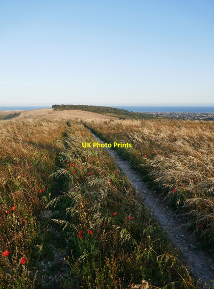 Photo 6"x4" Path on Steep Down Beggars Bush\/TQ1607 c2019
