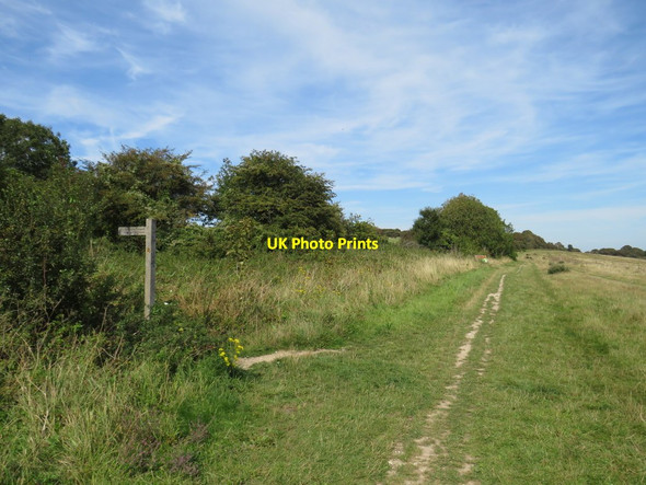 Photo 6"x4" Path near Brighton Brighton\/TQ3106 c2019 P2