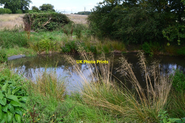 Photo 6"x4" Pond at the northern end of Hungerford Lane Hatherden c2019