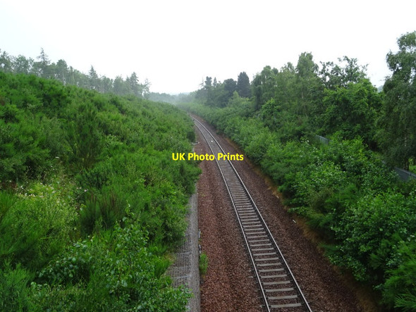 Photo 6"x4" Walverley railway line near Arniston Arniston\/NT3461 c2019