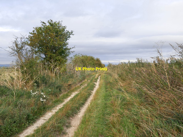 Photo 6"x4" Byway on the flank of Lowbury Hill, view eastwards Woodway c2019