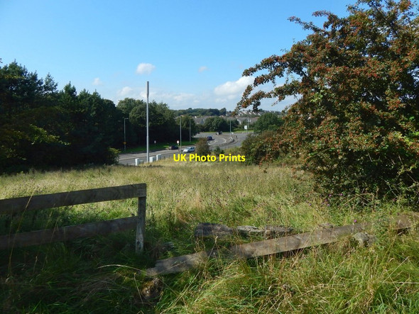 Photo 6"x4" Fence on Temple Hill Paisley c2019