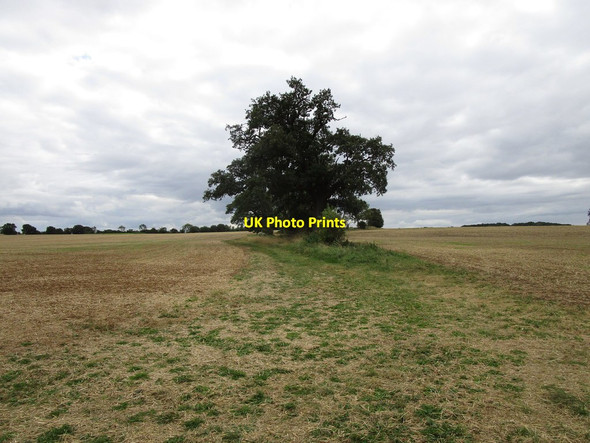 Photo 6"x4" Bridleway to Hardwick Clipsham c2019