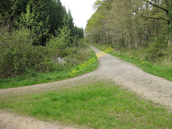 Photo 6"x4" Track junction, Haugh Wood Broadmoor Common c2009
