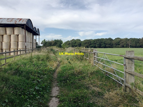Photo 6"x4" Bridleway by Lyons Farm, Rowington Green Kingswood Brook c2019