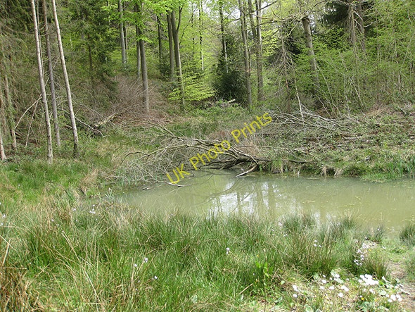 Photo 6"x4" Small pool, Haugh Wood Broadmoor Common c2009