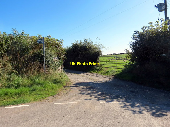 Photo 6"x4" Llwybr ceffyl Ffynnon-wen \/ Ffynnon-wen bridleway Bronwydd\/SN3543 c2019