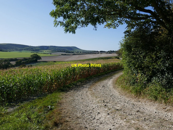 Photo 6"x4" Farmland south of Berwick Alfriston c2019