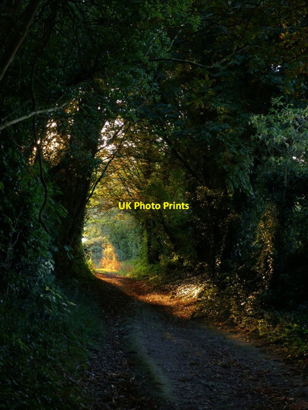 Photo 6"x4" Downhill to Litlington Litlington\/TQ5201 c2019