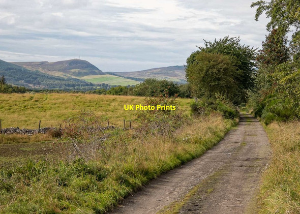 Photo 6"x4" Former trackbed of the Black Isle Railway Drynie Park c2019