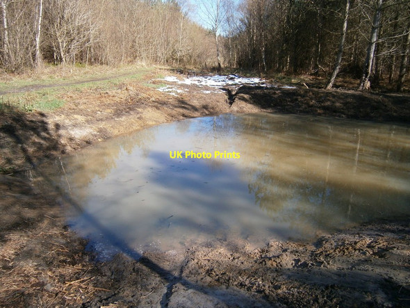 Photo 6"x4" New pond in Milkwellburn Wood Blackhall Mill c2012