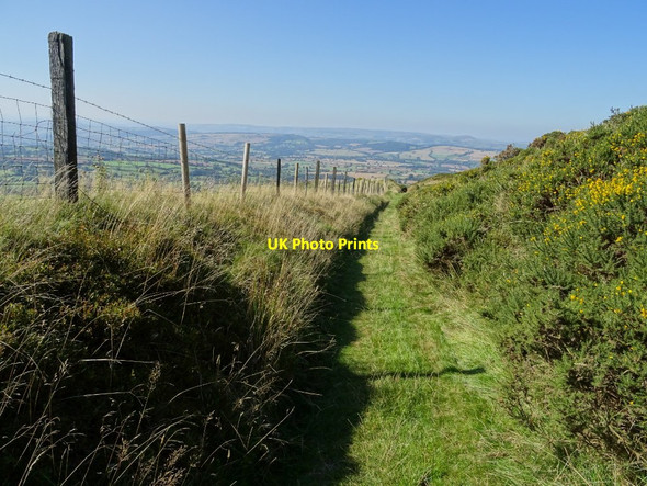 Photo 6"x4" Bridleway descending Brown Clee Hill Abdon c2019