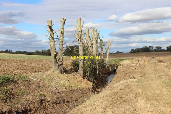 Photo 6"x4" The footpath to Dry Drayton - 3 Hardwick\/TL3759 c2019
