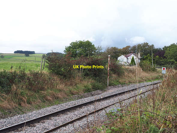 Photo 6"x4" Old signal post near Hetton Fleets c2019